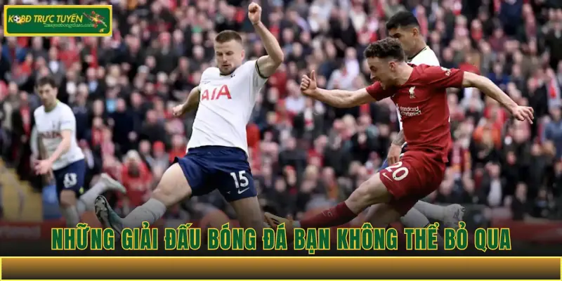 Những giải đấu bóng đá bạn không thể bỏ qua