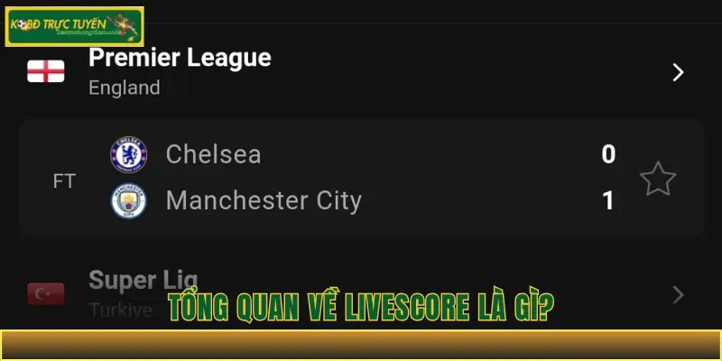 Tổng Quan Về Livescore Là Gì?