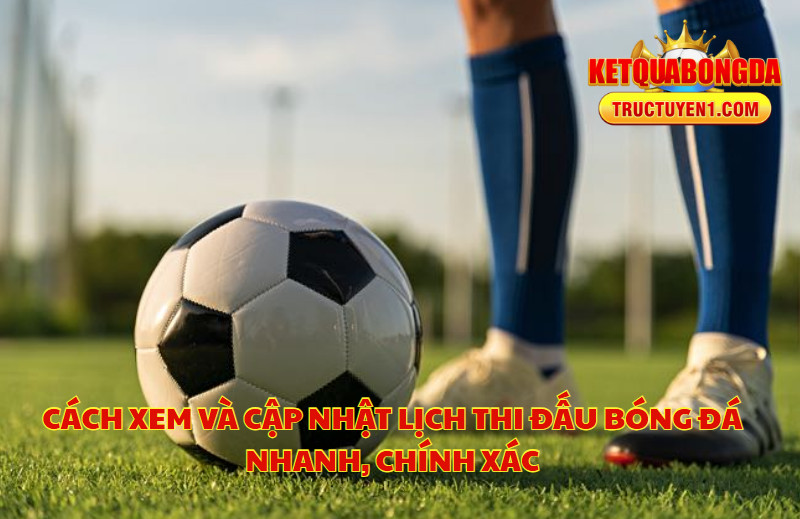 Cách Xem Và Cập Nhật Lịch Thi Đấu Bóng Đá Nhanh, Chính Xác