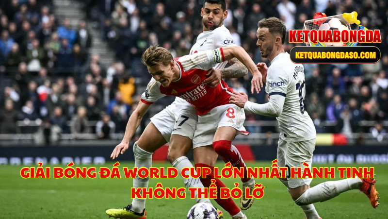 Giải Bóng Đá World Cup Lớn Nhất Hành Tinh Không Thể Bỏ Lỡ