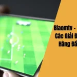 Biaomtv - Trải Nghiệm Các Giải Đấu Bóng Đá Hàng Đầu Thế Giới